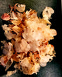 Garlic Peels Organic