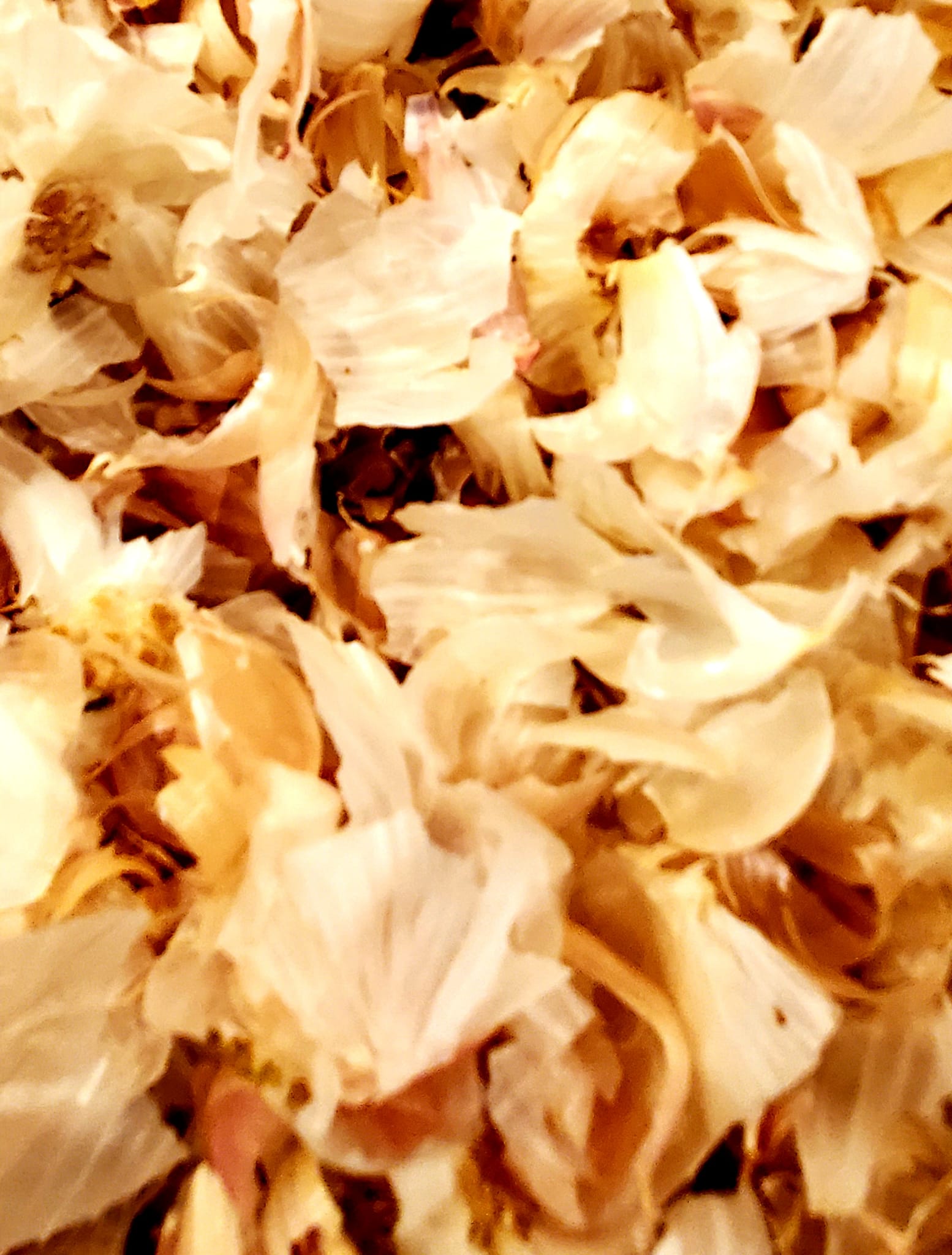 Garlic Peels Organic